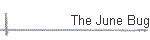 The June Bug